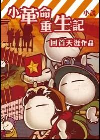 Small Revolution Rebirth